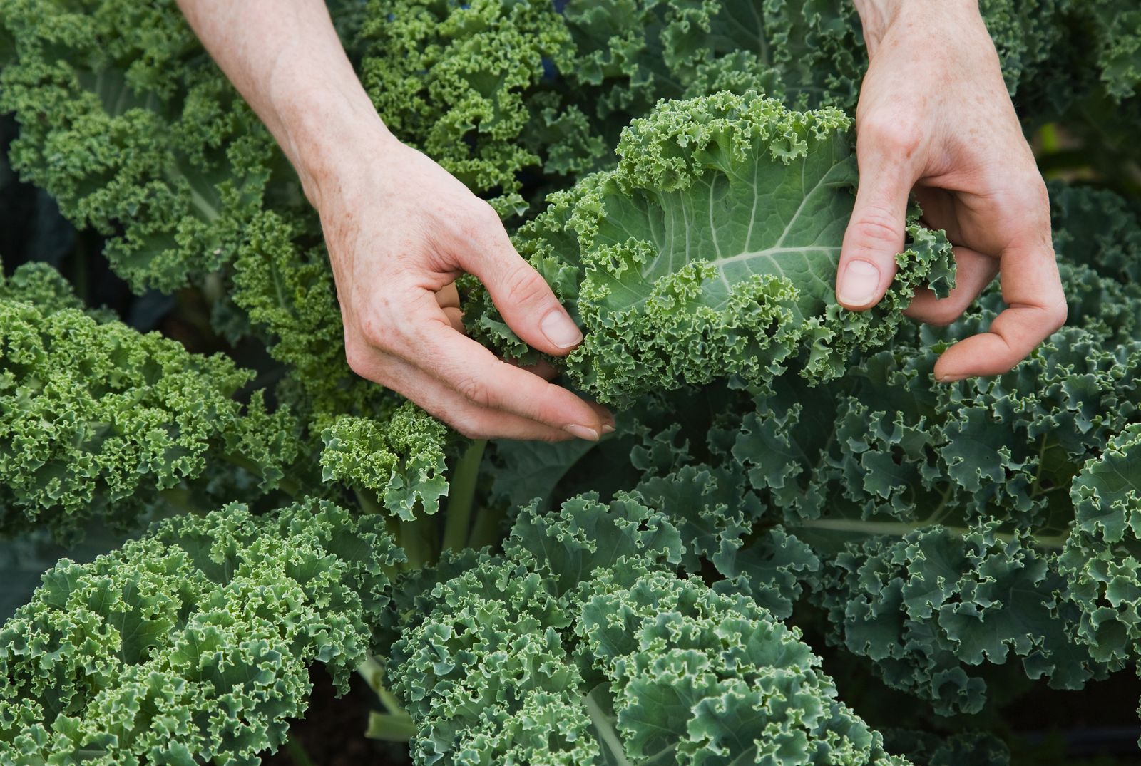 Was gesunde Ernährung mit deinem Körper macht