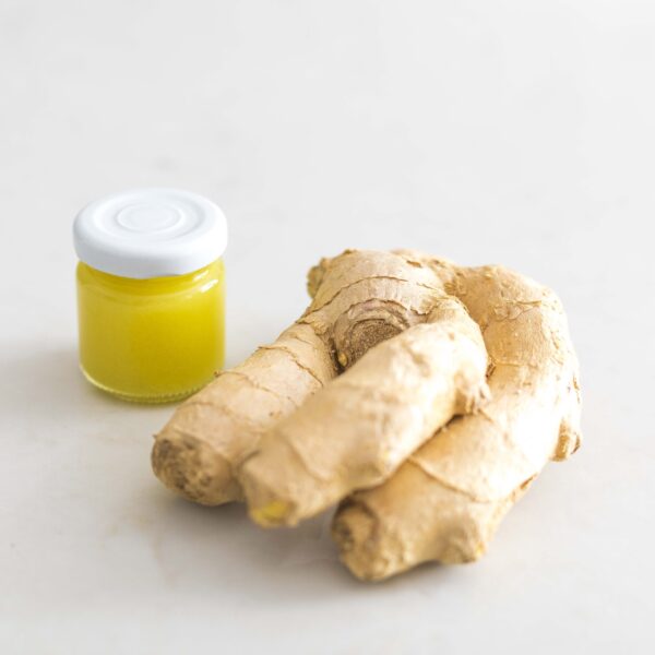 Ingwershot IMMUNITY – Bild 3