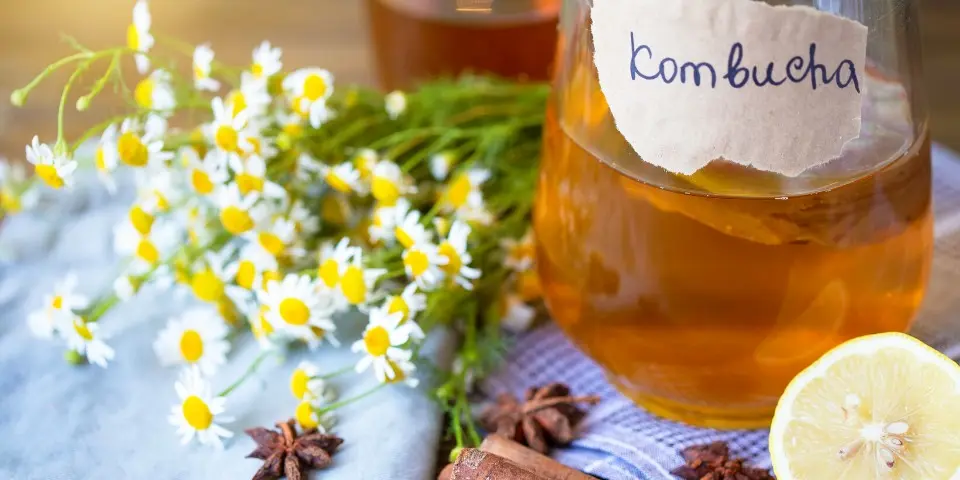 ¿Qué es la kombucha?