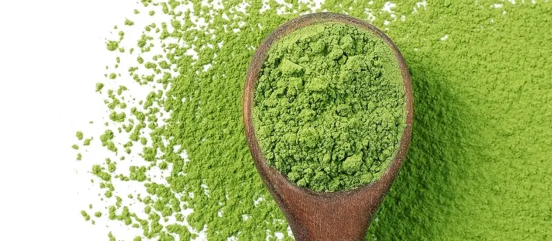 Recetas con Té Matcha para quemar grasa y sustituir al café